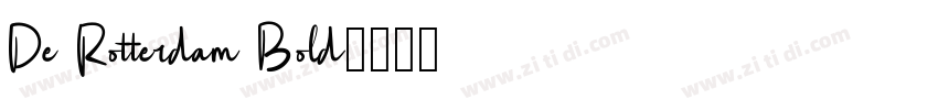 De Rotterdam Bold字体转换
